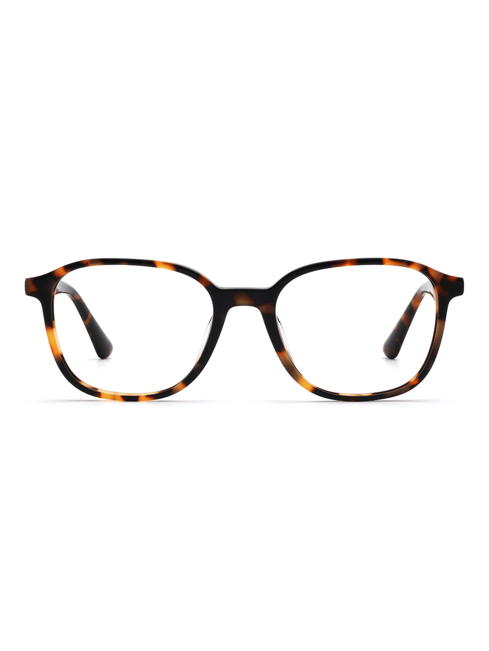 Brille Odense aus Acetat in Havana, Frontalansicht