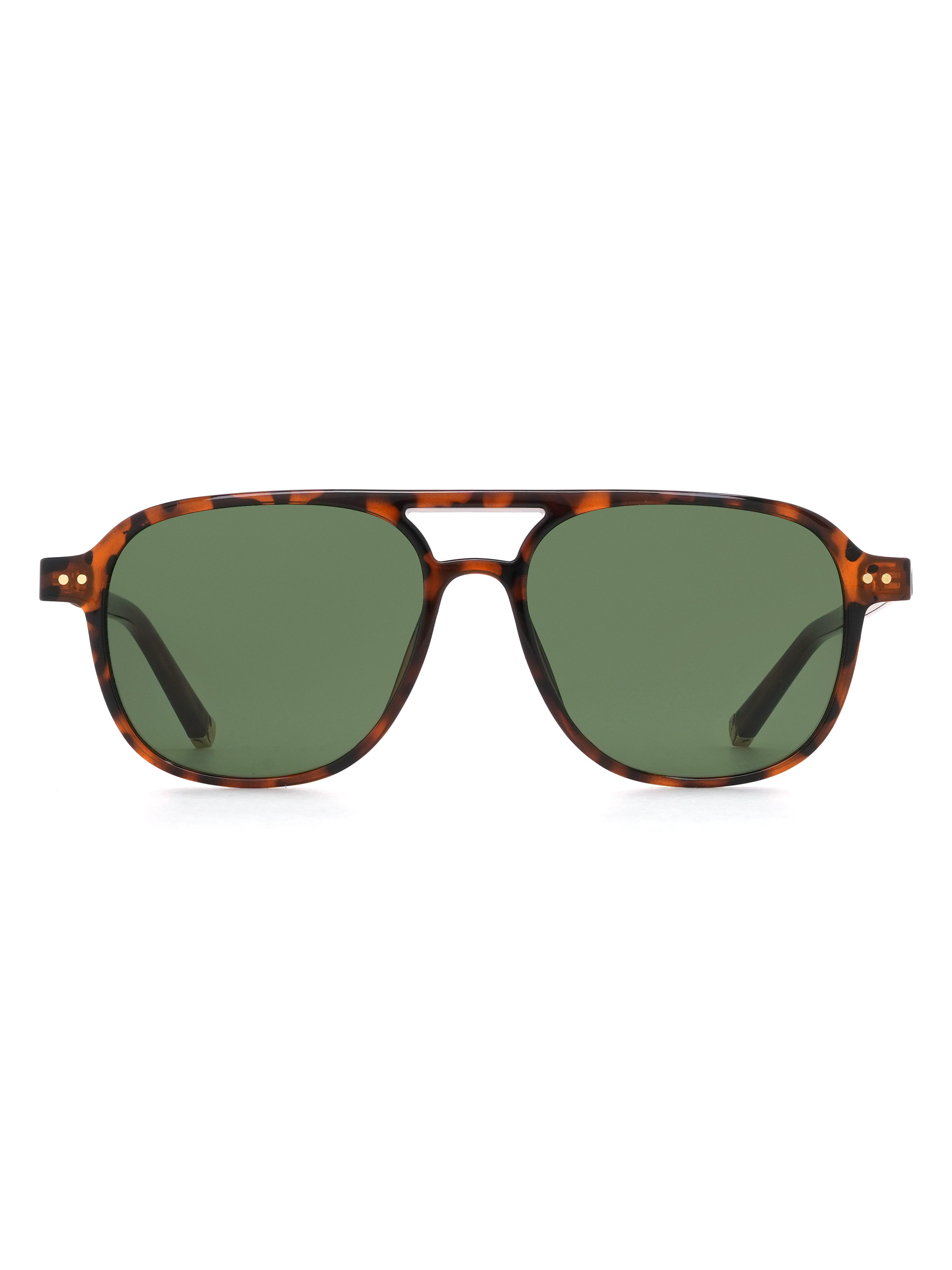Faro Sonnenbrille Havana Frontansicht