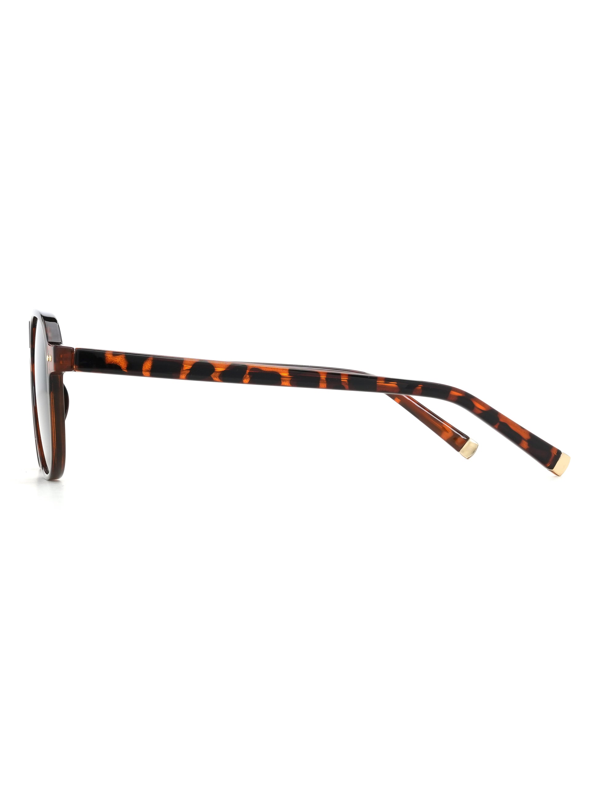 Faro Sonnenbrille Havana Seitenansicht