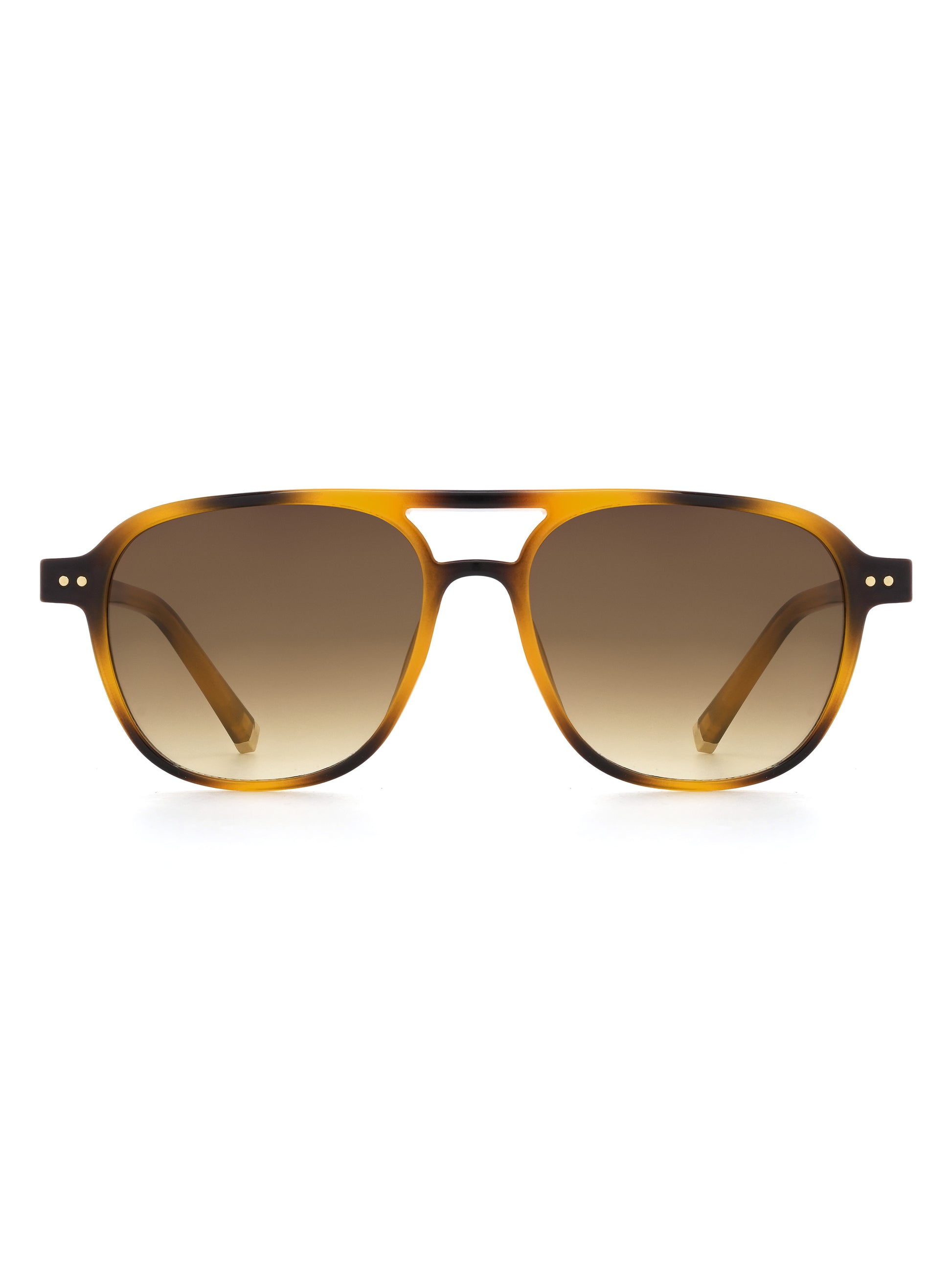 Faro Sonnenbrille Havana Tea Frontansicht
