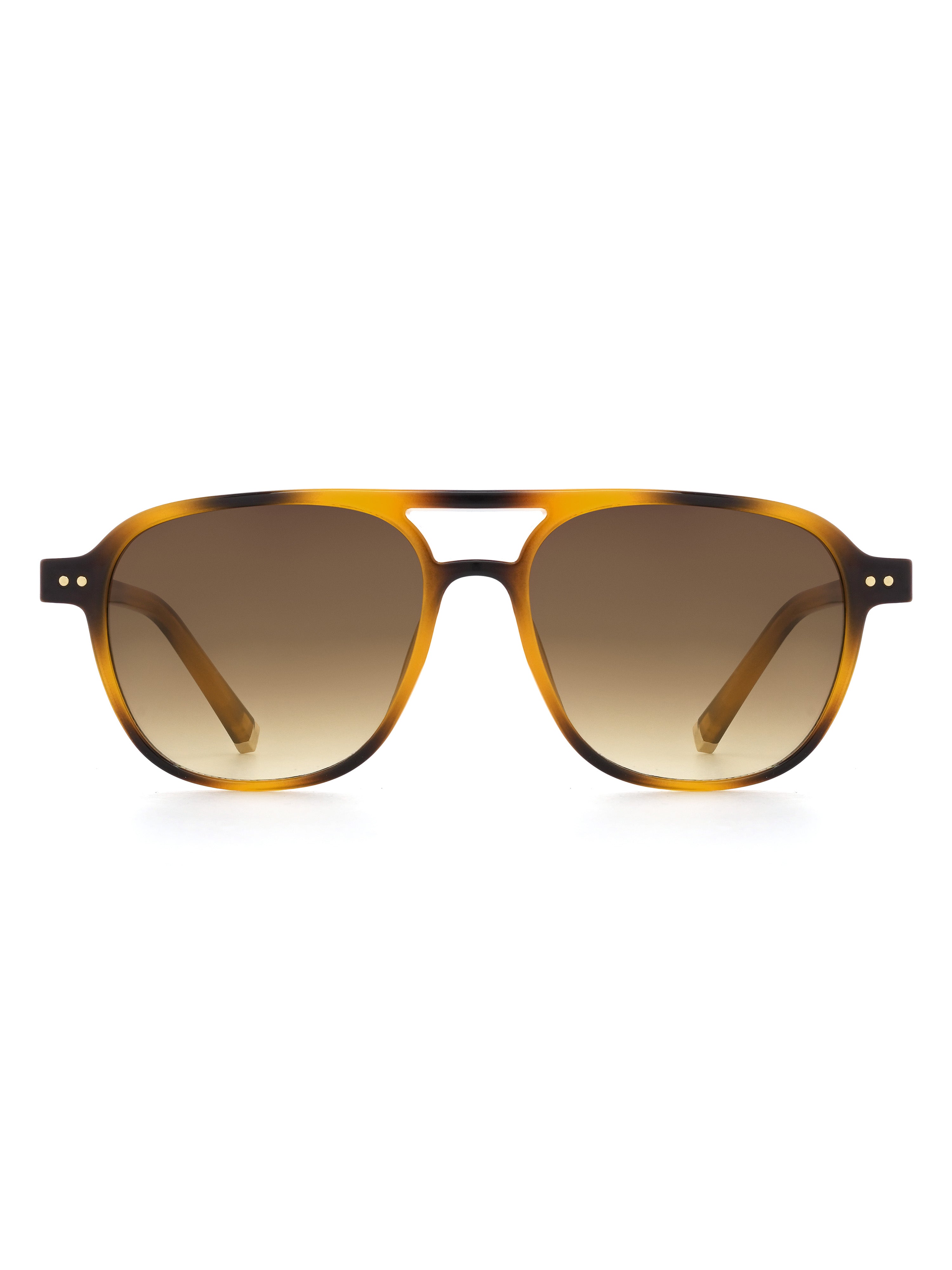 Faro Sonnenbrille Havana Tea Frontansicht